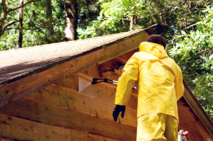 PG Painting pressure washing a wood sided garage